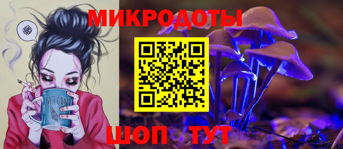 Галлюциногенные грибы Psilocybe Выкса