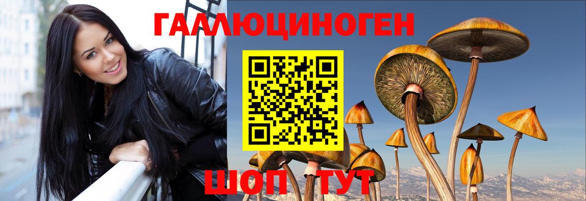 продажа наркотиков  Вход с VPN  Выкса  Псилоцибиновые грибы Magic Shrooms  Псилоцибиновые грибы мицелий 